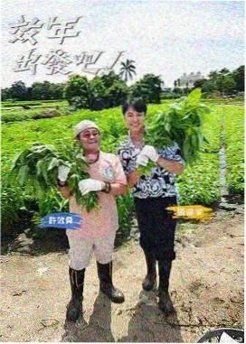 大侦探 - 秋霞在线电影